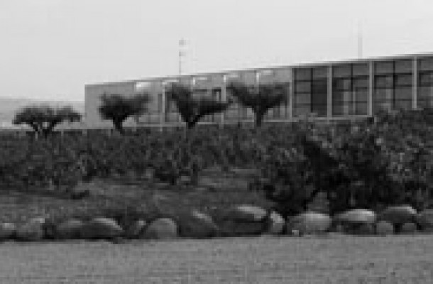imagen mediana 26