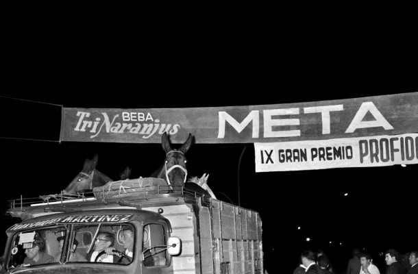 imagen mediana 7