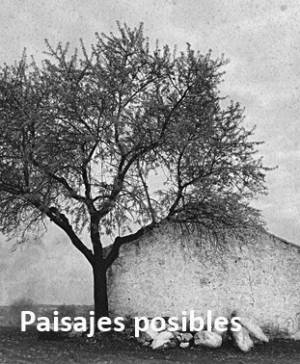 imagen ultima noticia cultura
