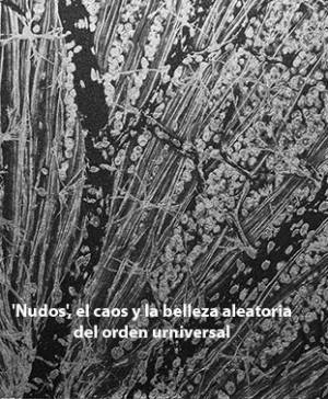 imagen ultima noticia cultura