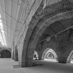 imagen tema de la semana