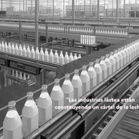 imagen de lo �ltimo