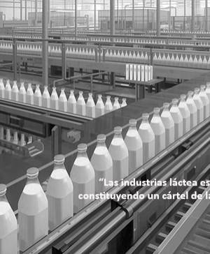 imagen ultima noticia vivir