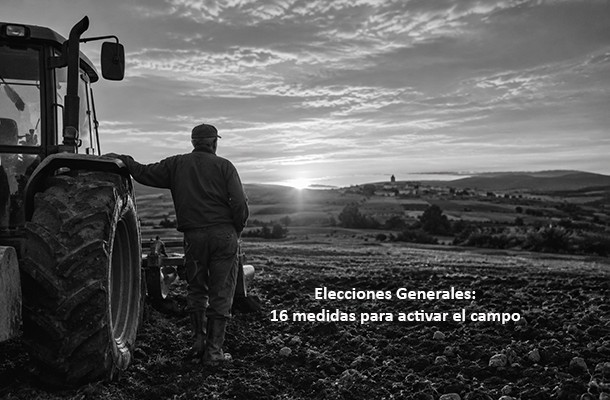 Imagen destacado 1